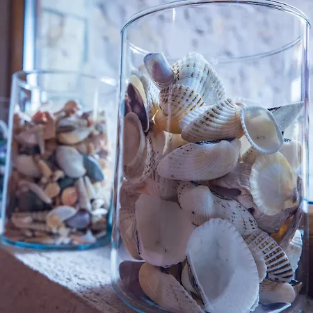 Albatros Old Town 酒店 索佐波尔