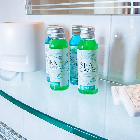 Albatros Old Town 3* 索佐波尔