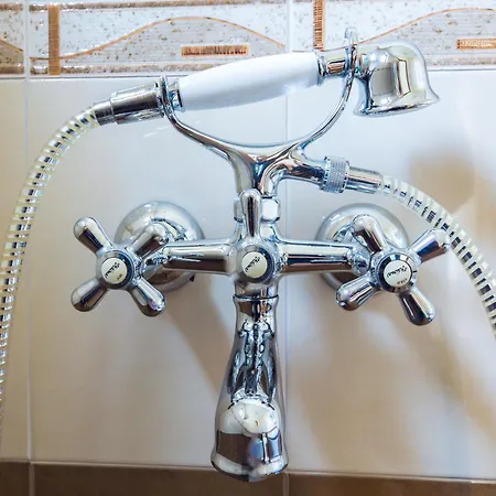 Albatros Old Town 酒店 索佐波尔