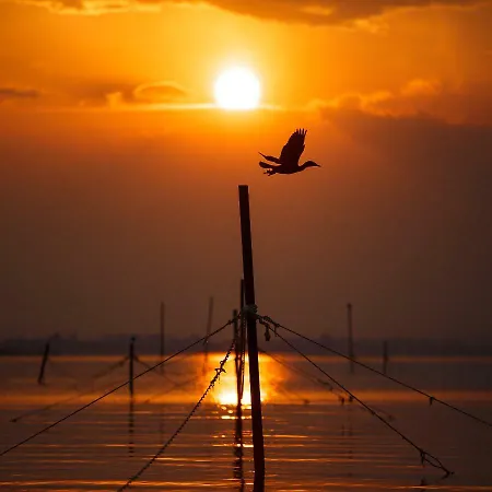 酒店 Albatros Old Town 3*