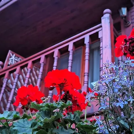 Albatros Old Town 호텔